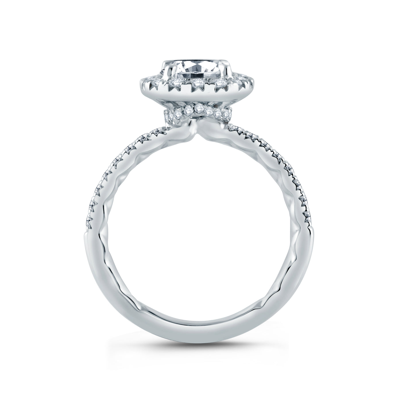 Halo Engagement Ring with Belted Gallery Detail